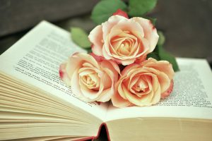 Instant Book of Ra Slot Sign Up: Step-by-Step Guide for India (2026)